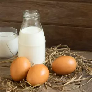 Dairy and Egg
